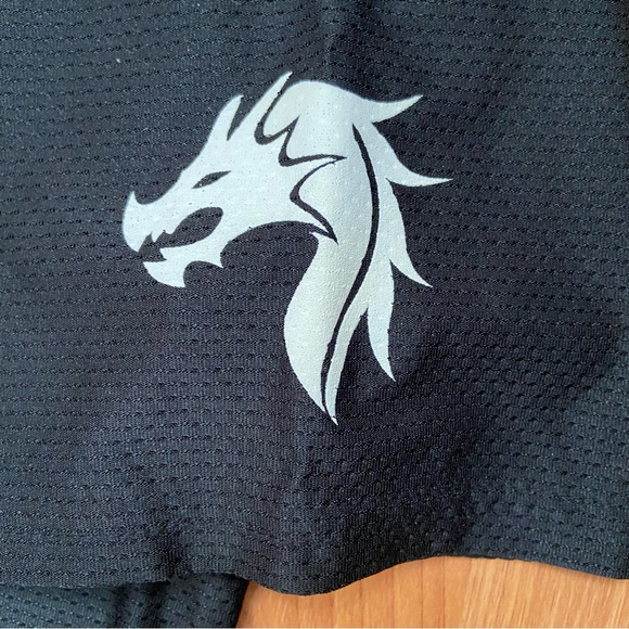 Insomniac Men’s Forbidden Kingdom Logo EDM Rave Festival Jersey Size Large - Picture 6 of 10